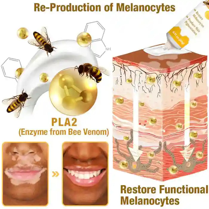 New Revitalizing Bee Venom Cream – Natural Skin Restoration & Vitality (Buy 1 Get 1 Free🔥)